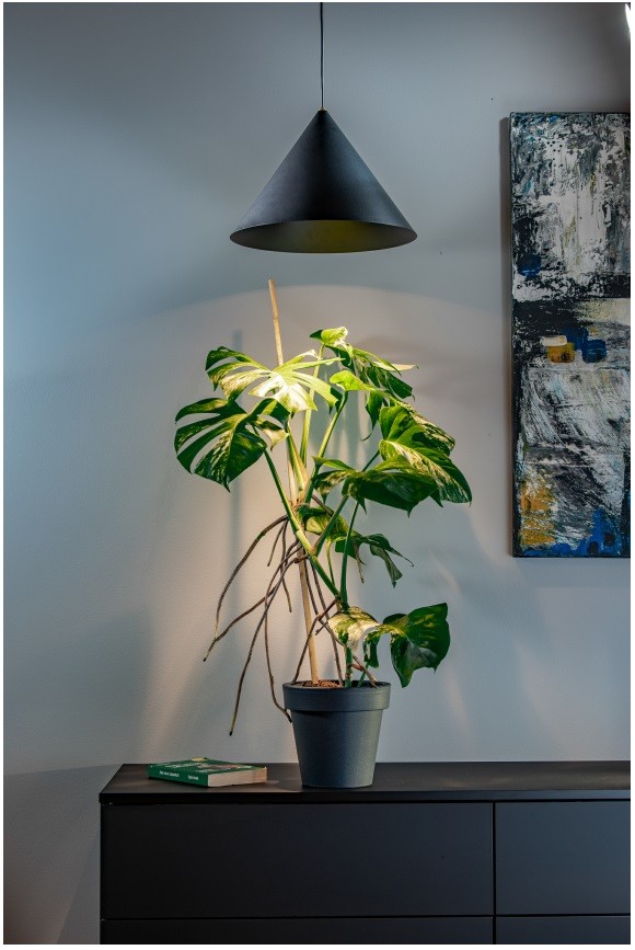 Fot. Nowodvorski Lighting
