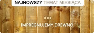 Impregnujemy drewno - temat miesiąca