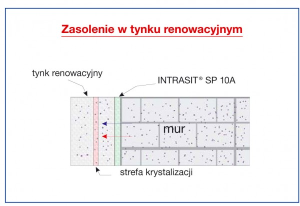 Uszczelnianie i renowacja zawilgoconych ścian piwnicy według Visbud-Projekt<br />