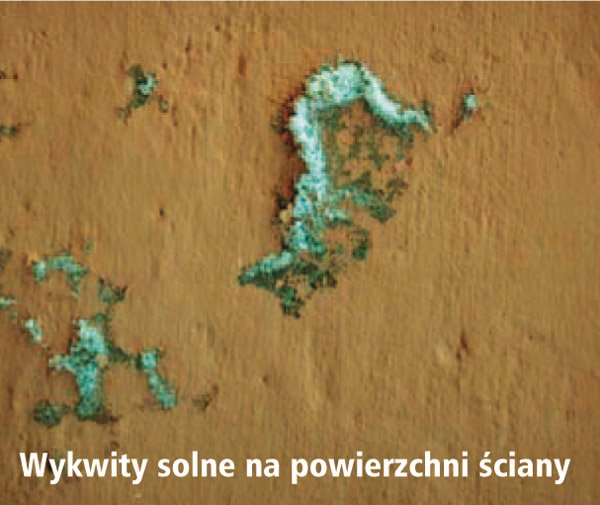 Ochrona elewacji przed występowaniem wykwitów solnych 