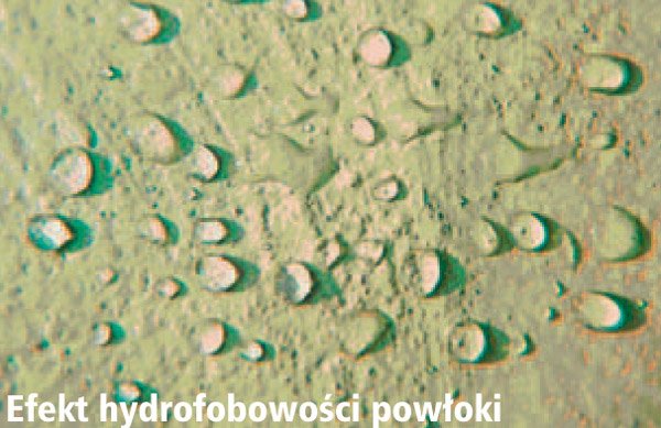 Ochrona elewacji przed występowaniem wykwitów solnych 