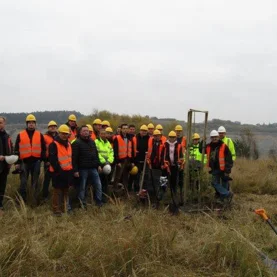 RIGIPS w trosce o przyrodę