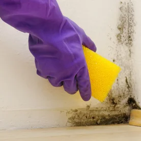 Plamy i zacieki na ścianach – jak się ich pozbyć?