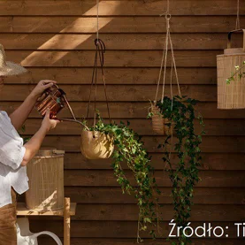 Nowe kolory lakierobejcy Tikkurila Valtti Plus Complete