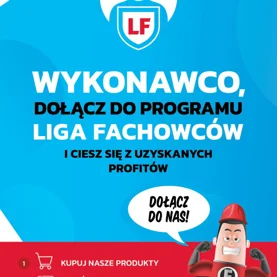 Liga Fachowców - FAST