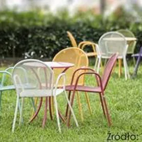 Kute piękno w ogrodzie