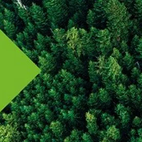 Leroy Merlin łączy ekologię z ekonomią w projekcie „Robi Klimat”