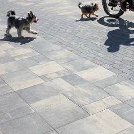 Podjazd, który ułatwia życie - jak go dobrze zaplanować