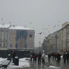 Jak zabezpieczyć budynek przed gołębiami?