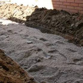 Natura lubi porządek