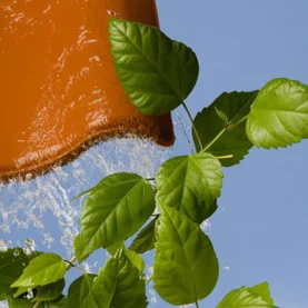 Zdrowe i energooszczędne materiały budowlane