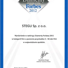Strona WWW Stegu zdobyła e–Diament Forbes & Onet.pl 2012