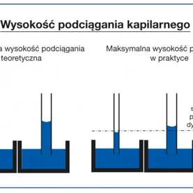 Uszczelnianie i renowacja zawilgoconych ścian piwnicy według Visbud-Projekt
