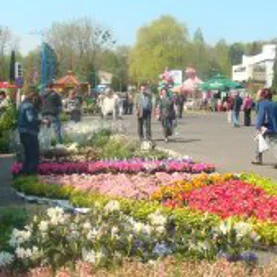 Zakończyły się targi w Katowicach 