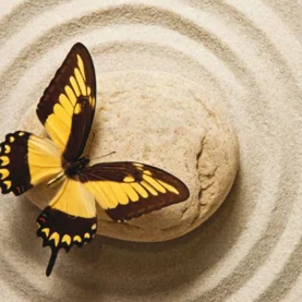 Naturalne kruszywa dla budownictwa