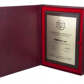 Profix-Solidny Pracodawca Roku 2013