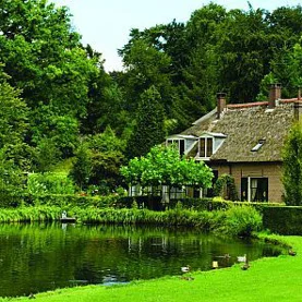 Jak ochronić ściany przed agresją mikrobiologiczną