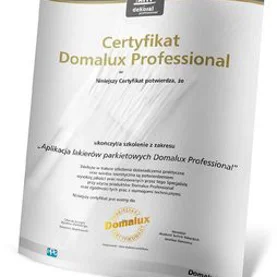 Rusza program certyfikujący Domalux Professional
